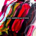 CARROTS and STiCKS(MUSIC)