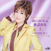R̗wȏW3 `VOICE`