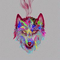 �yMAXI�z��C�T(�ʏ��)(�}�L�V�V���O��)