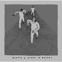 ���C�W���O