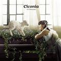 Ciconia