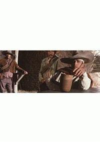 �V�F���}�h���̌��l