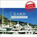 ZARD tribute