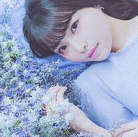 Agapanthus(�ʏ��)