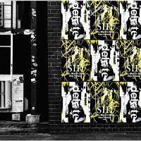 �yMAXI�zdelete(�ʏ��)(�}�L�V�V���O��)