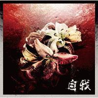 ����(DVD�t)