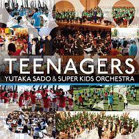 TEENAGERS ���n�T&�X�[�p�[�L�b�Y�E�I�[�P�X�g���̊��