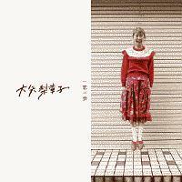 ������(DVD�t)