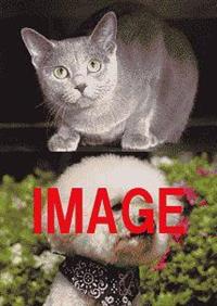 ������D���I�m�d�v�j��������񃏃������X�y�V�����P�O�O