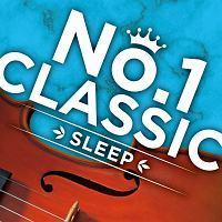 NO.1 CLASSIC �`SLEEP�`