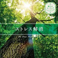 �ɏ�̃q�[�����O�~���[�W�b�N�`�X�g���X�����`