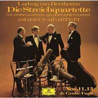 �x�[�g�[���F��:���y�l�d�t�ȑ�11�ԁ�Z���I�[�\�� ��13�ԁE��t�[�K