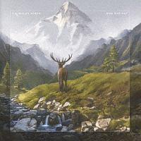 ���C�Y�E���C�f�B�A���g