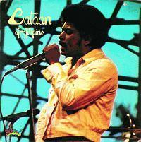 �A�t���t�B���s�[�m