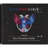 CHAOSMOLOGY