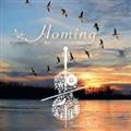Homing AS₷炮̏ꏊց``FAn[vAsAmtłA[