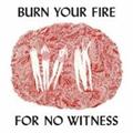 BURN YOUR FIRE FOR NO WITNESS