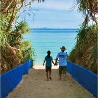 �j���[�I�[�V����