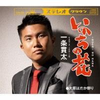 �yMAXI�z���̂��̉�(�}�L�V�V���O��)