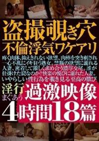 盗撮覗き穴不倫浮気ワケアリ過激映像４時間１８篇の画像