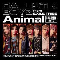 �yMAXI�zAnimal(�}�L�V�V���O��)