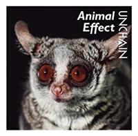 Animal Effect