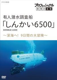 �v���t�F�b�V���i���@�d���̗��V�@�L�l���������D�u���񂩂��U�T�O�O�v�@�`�[�C�ցI�X���Ԃ̑�`���`