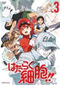 週間 アニメdvdレンタルランキング ツタヤ ディスカス Tsutaya Discas