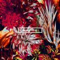 yMAXIzHON-NO/IZA!!(}LVVO)