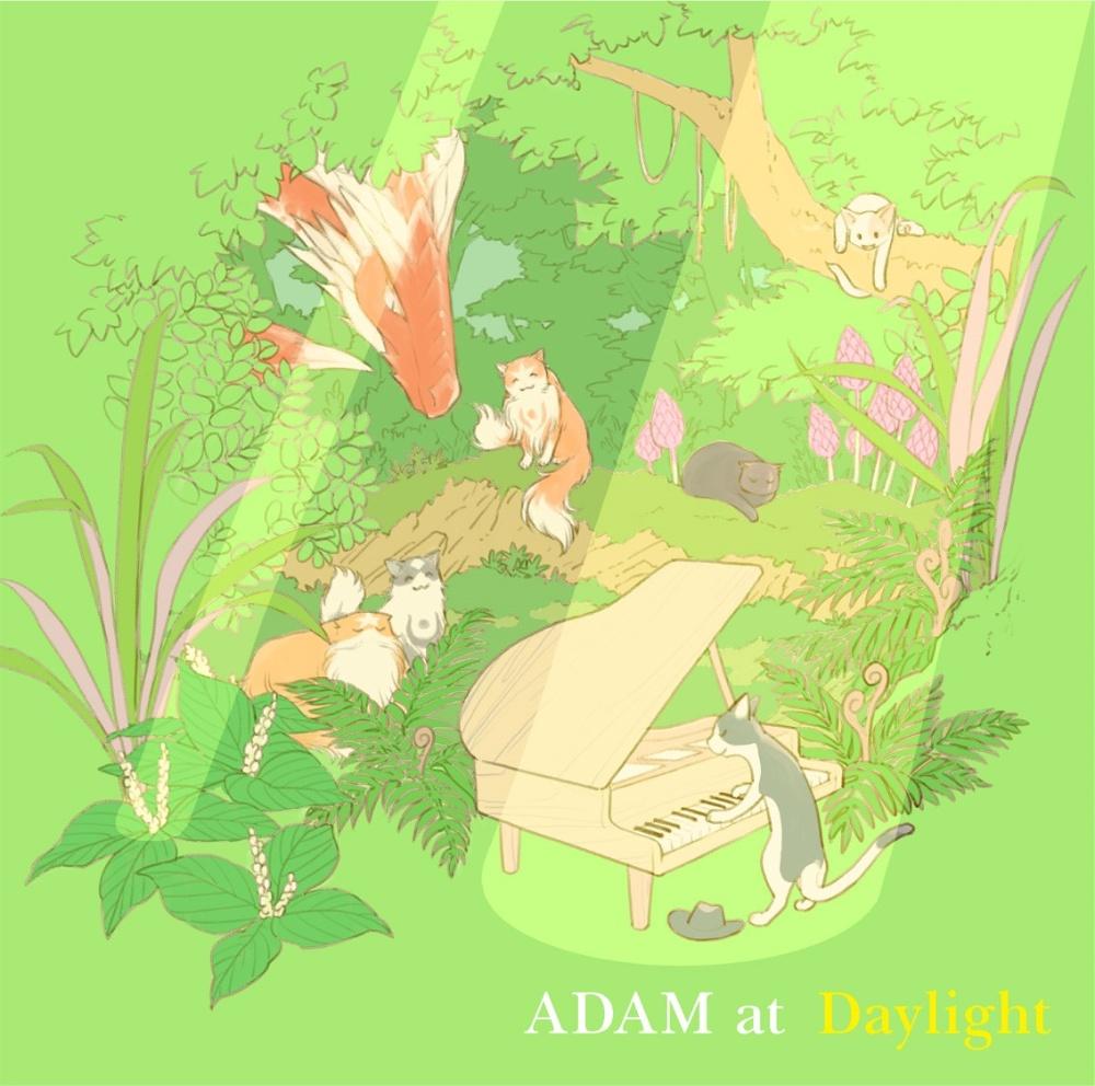 Daylight/ADAM at̉摜EWPbgʐ^