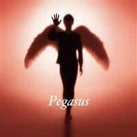 �yMAXI�zPegasus (���񐶎Y�����)(�}�L�V�V���O��)�yDisc.1&Disc.2�z