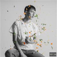 Chicken Soup For One