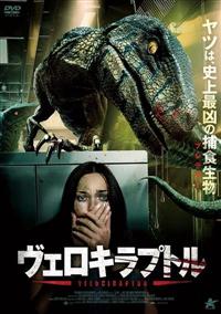 ���F���L���v�g��