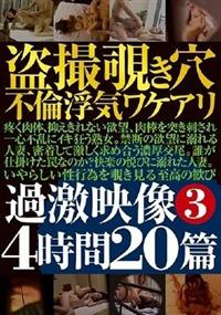 盗撮覗き穴不倫浮気ワケアリ過激映像３　４時間２０篇の画像