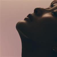 �yMAXI�zLITMUS(�}�L�V�V���O��)