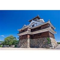 ��΍s�������Ȃ�I�j�b�|���s�ł̖���u���q���G�̏�v