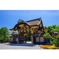 ��΍s�������Ȃ�I�j�b�|���s�ł̖���u�����v