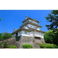 ��΍s�������Ȃ�I�j�b�|���s�ł̖���u���c����v