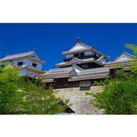 ��΍s�������Ȃ�I�j�b�|���s�ł̖���u���R��v