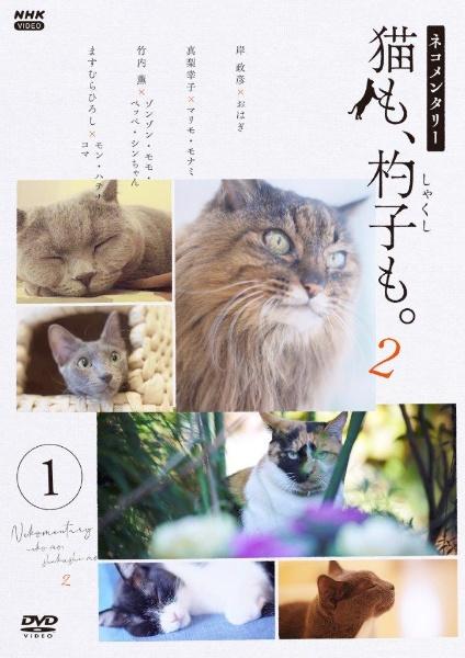 ネコメンタリー 猫も 杓子も ２ １ 宅配dvdレンタルのtsutaya Discas