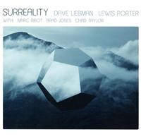 �T�[���A���e�B