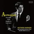 Aconcagua - Piazzolla, Falla, Ginastera, Guarnieri
