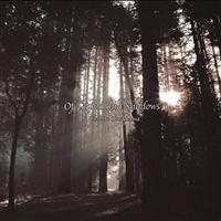 Of Lights and Shadows