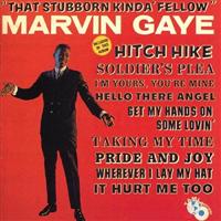 �X�^�{���E�J�C���_�E�t�F���E