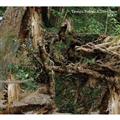 ROOT