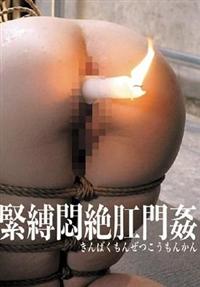 緊縛悶絶肛門姦の画像