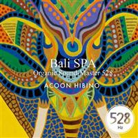 Bali SPA Organic Sound-Master 528
