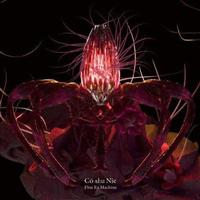Flos Ex Machina(ʏ)