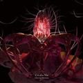 Flos Ex Machina(ʏ)