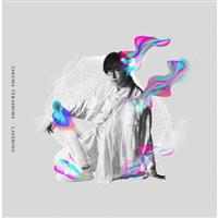 LAYERING �y�ʏ�Ձz